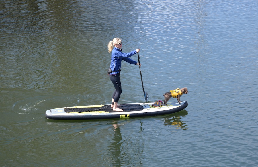 Isle Explorer paddling with dog
