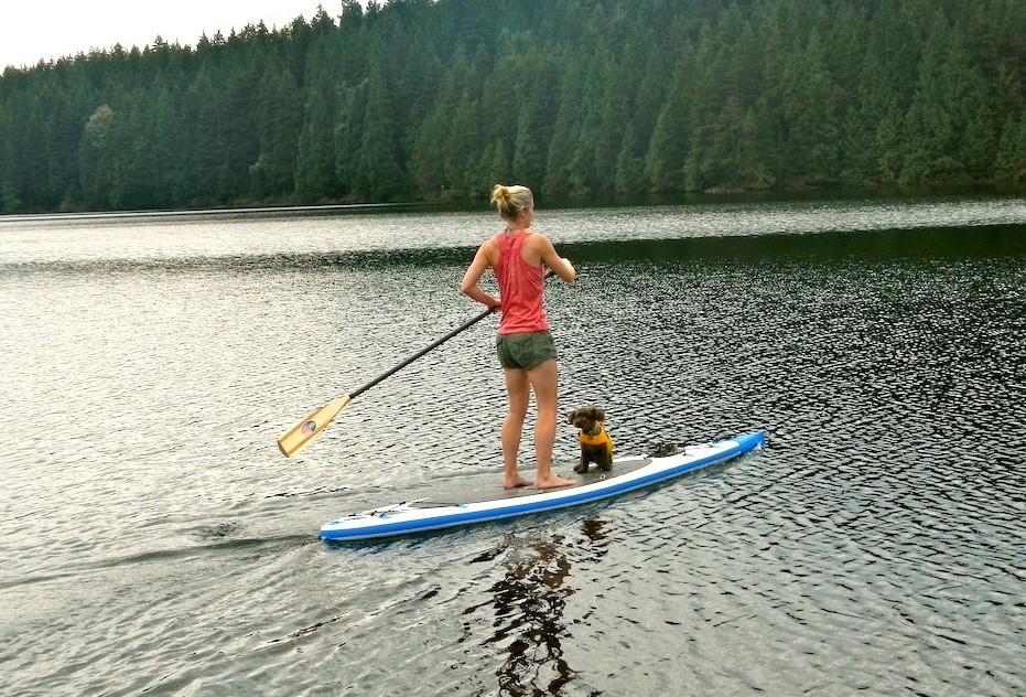 Paddle Board for Beginners: How to Use This Sport to Cross Train