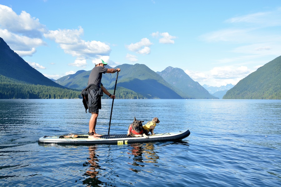 paddle boarding with two dogs Isle Explorer