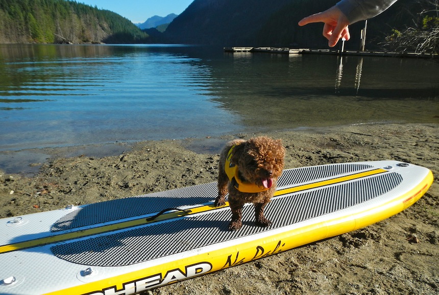 teaching Seth to stay on stand up paddleboard
