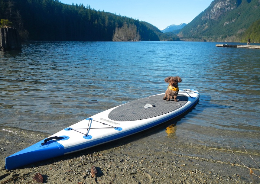 stand up paddle boarding with a dog