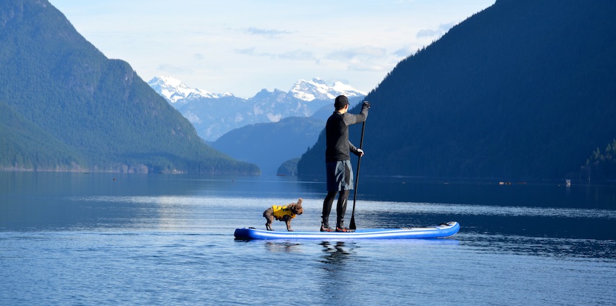 Sea Eagle Longboard ISUP with dog