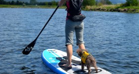 California Board Co. 11′ Inflatable SUP Review