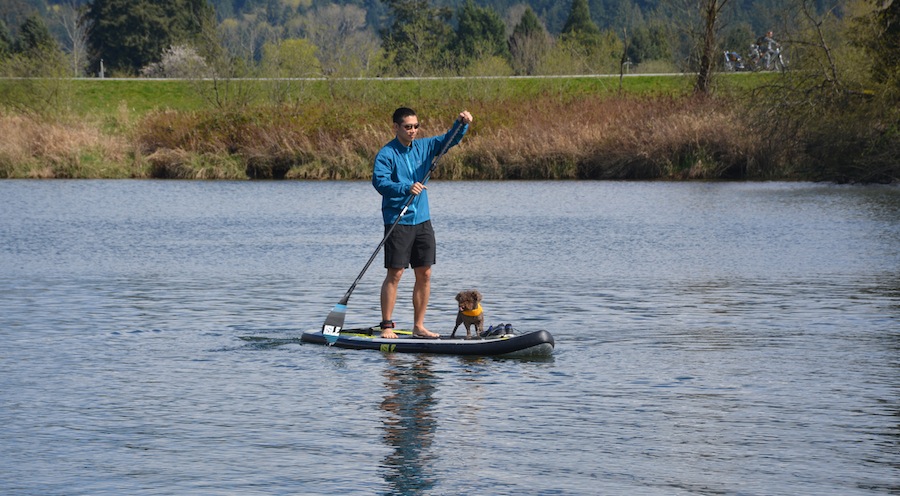 Isle all carbon fiber adjustable sup paddle