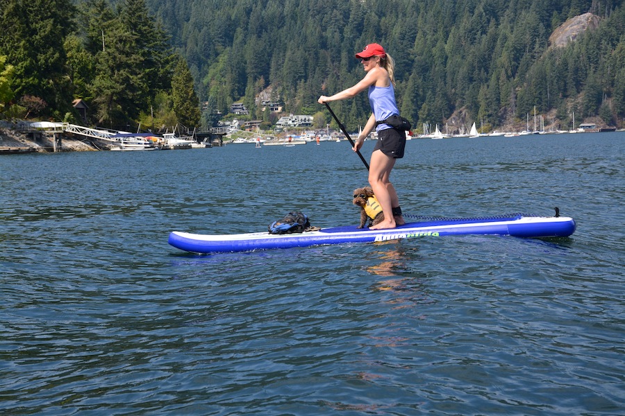 paddling in Deep Cove - board from Deep Cove Outfitters