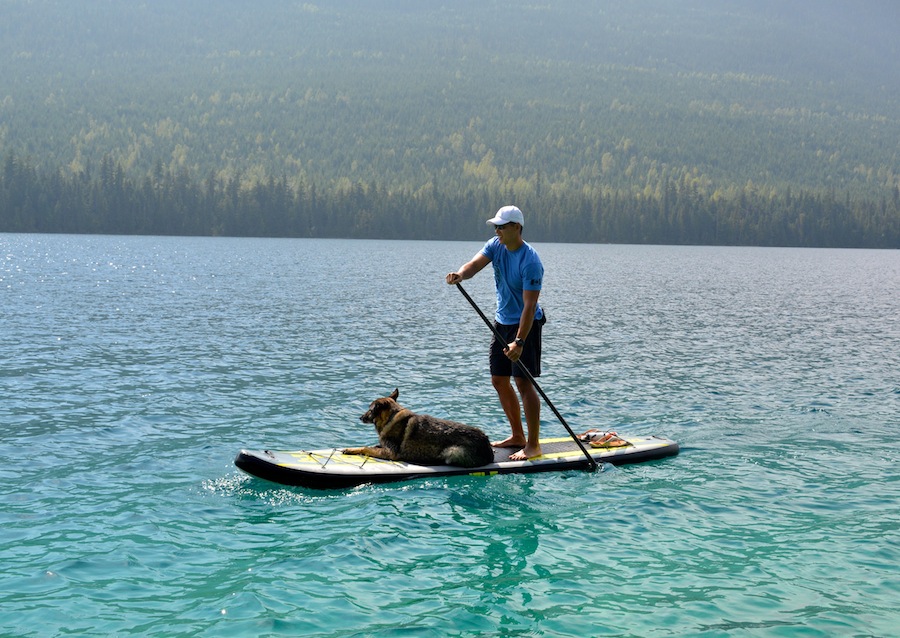 Stand-Up Paddling With An Older Dog