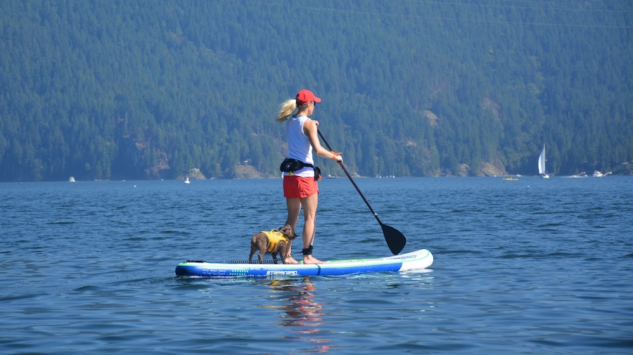paddling the Astro Blend ISUP in Deep Cove