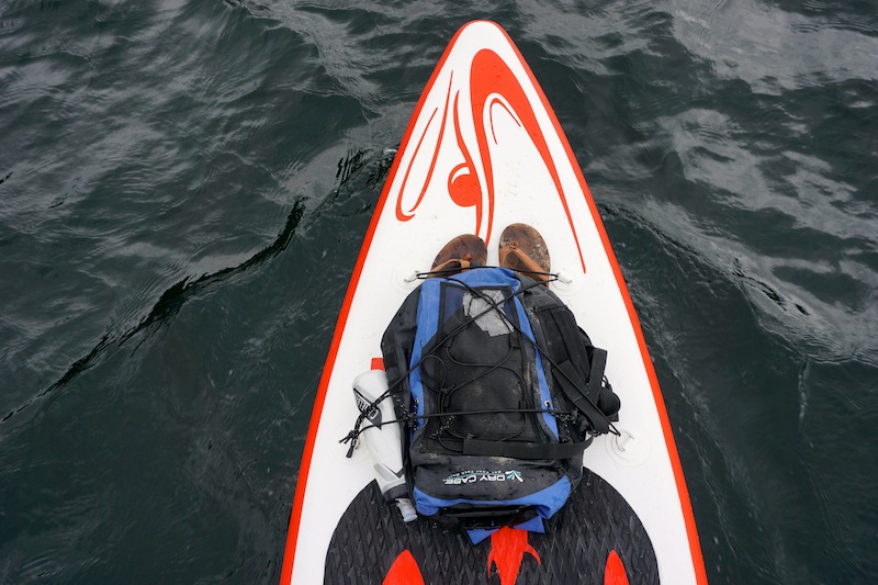 Shark stand up paddle board