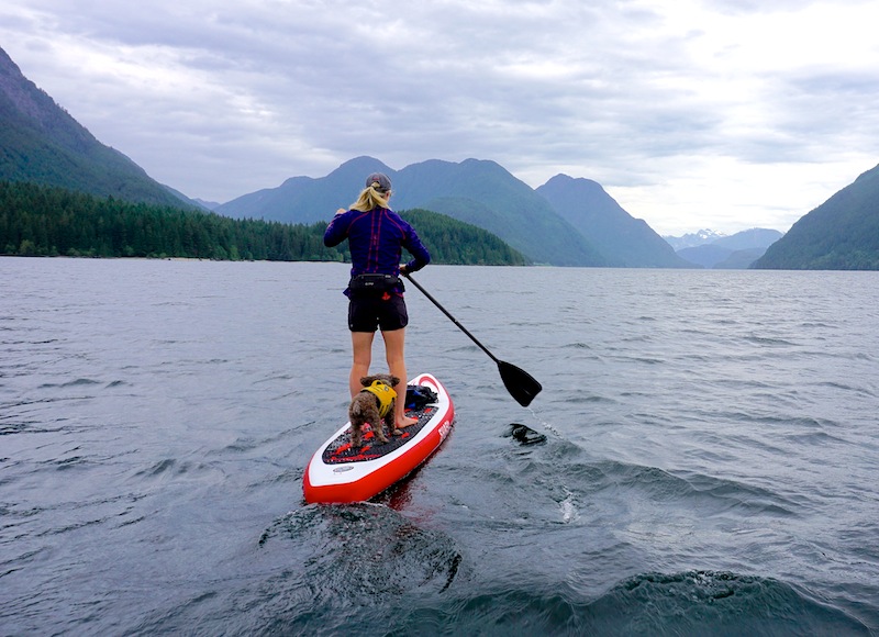 paddling the White Shark 10'6" inflatable SUP on Allouette Lake