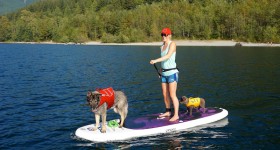 Best SUP’s For Paddling With Dogs