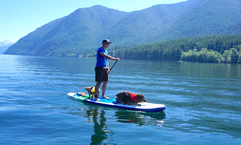 paddling the Hero SUP Crusader with two dogs