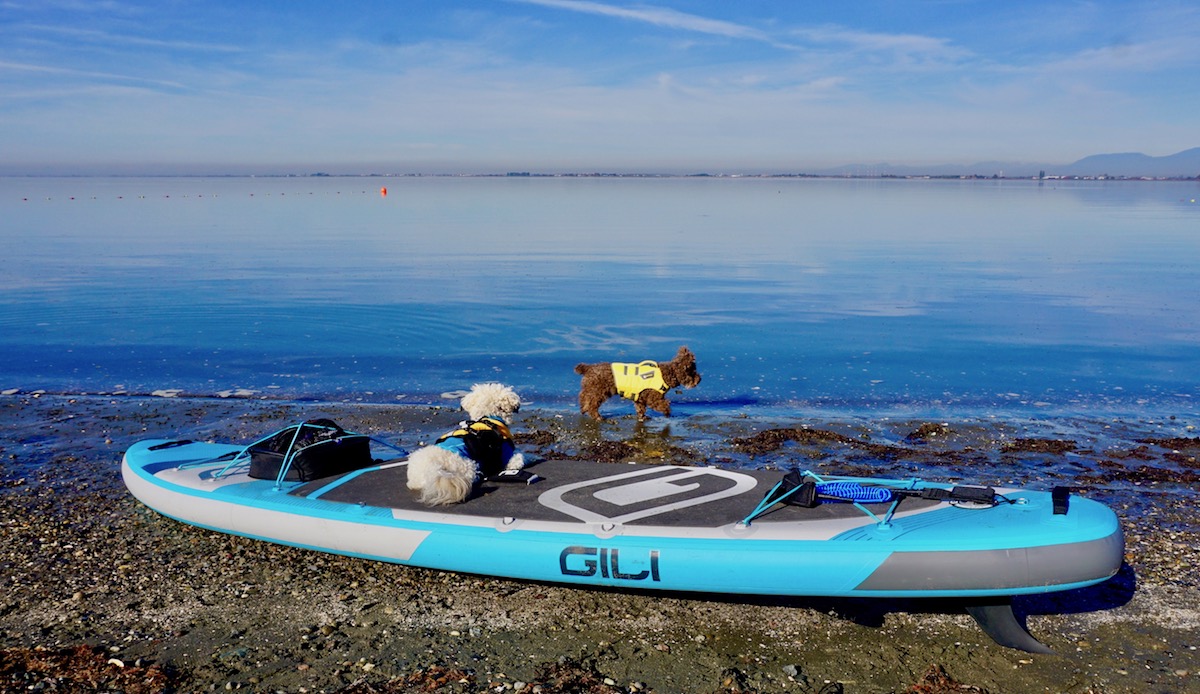ocean paddling with dogs on the Gili inflatable SUP