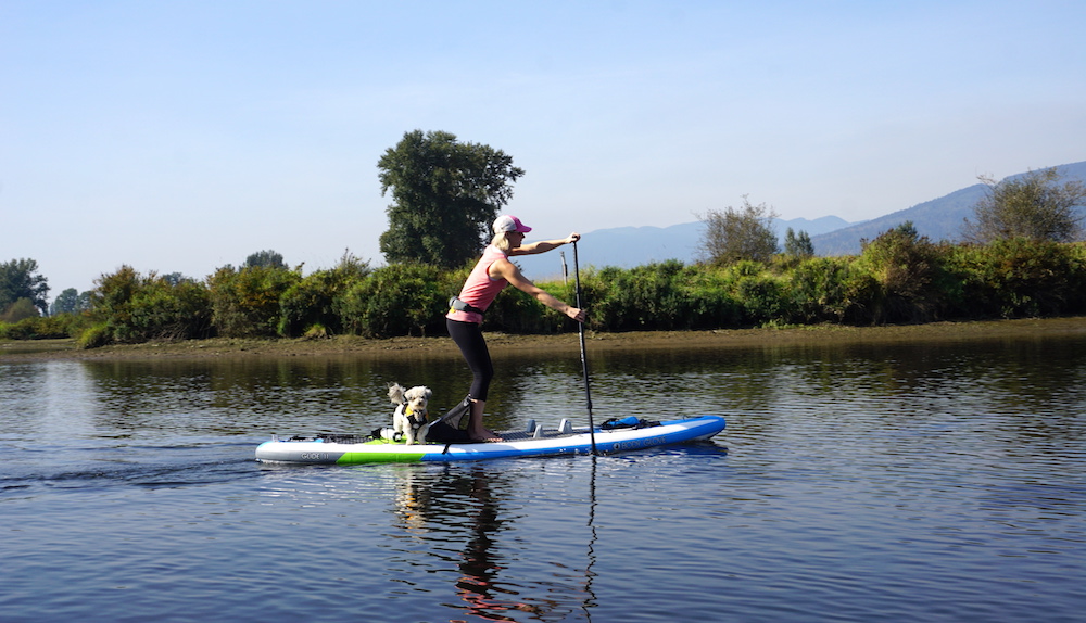 stand up paddleboarding on the Body Glove Glide