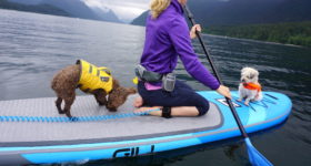 Tips For Paddle Boarding In Strong Wind