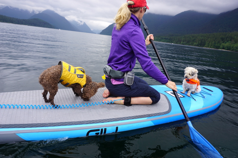 paddle boarding on the Gili inflatable SUP with dogs