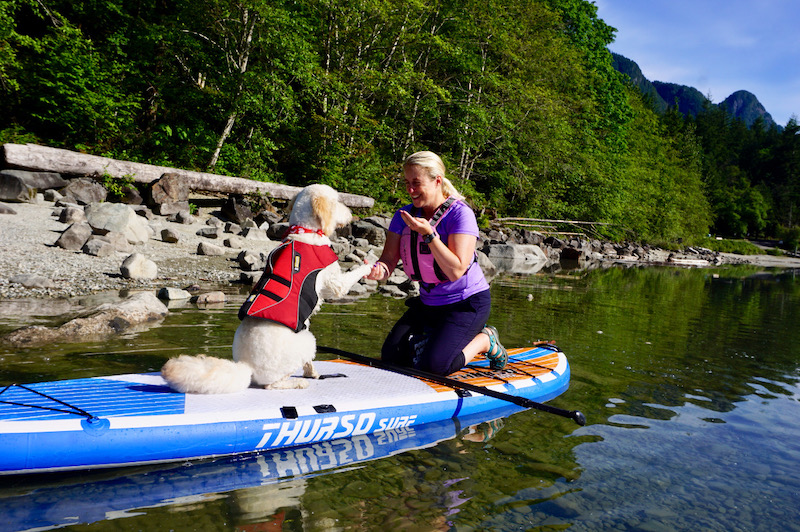 training a new SUP pup