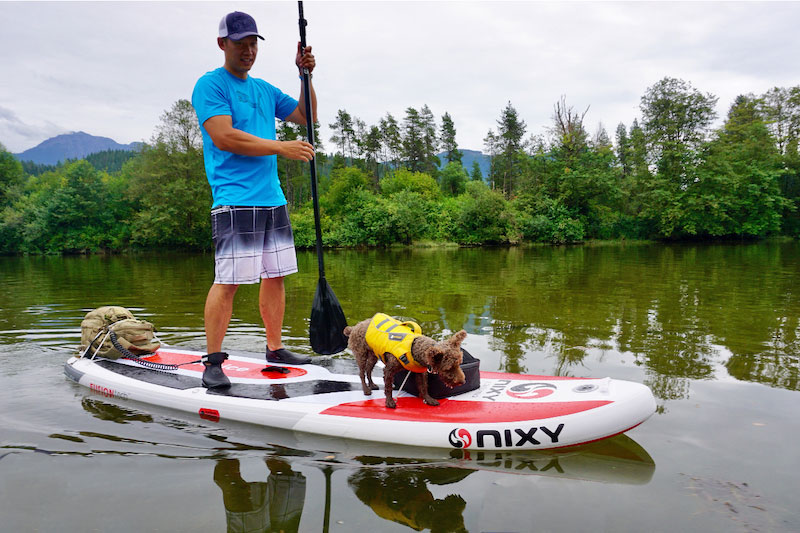 SUP with Pup paddling with dogs