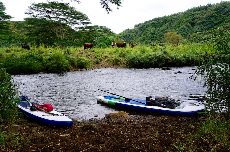 Wailua River paddle to the swimming hole