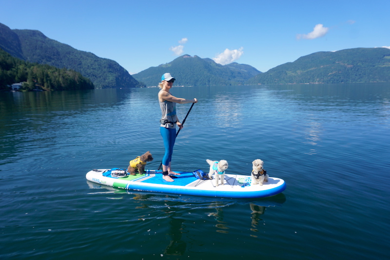 Paddling the Hero SUP Crusader inflatable SUP with my dogs