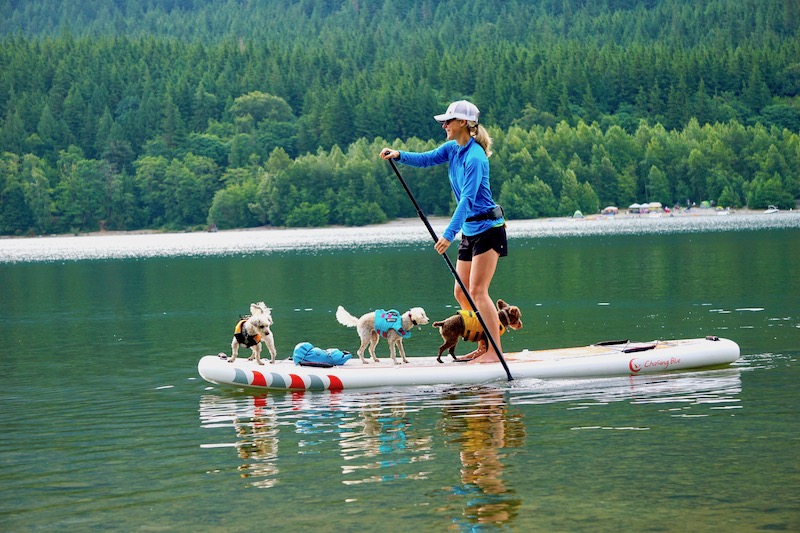 paddling the Chasing Blue Solar Spirit SUP with dogs