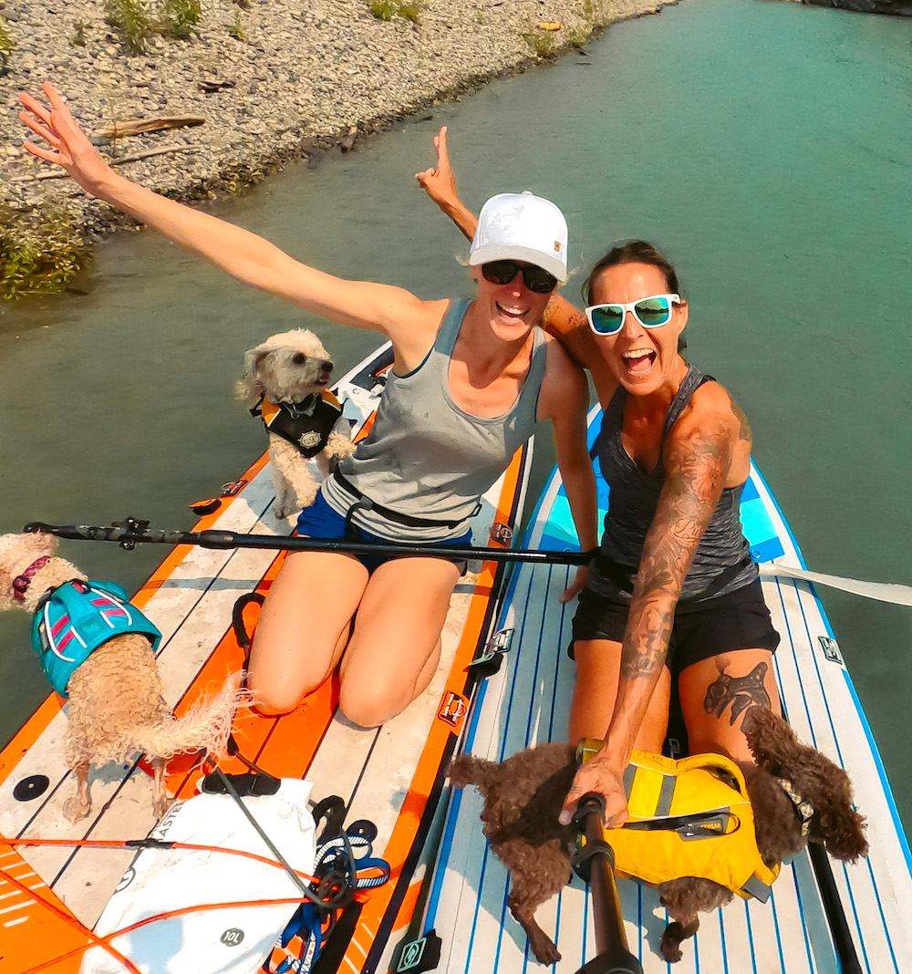paddleboarding with dogs on the Gili Adventure and the Gili Komodo