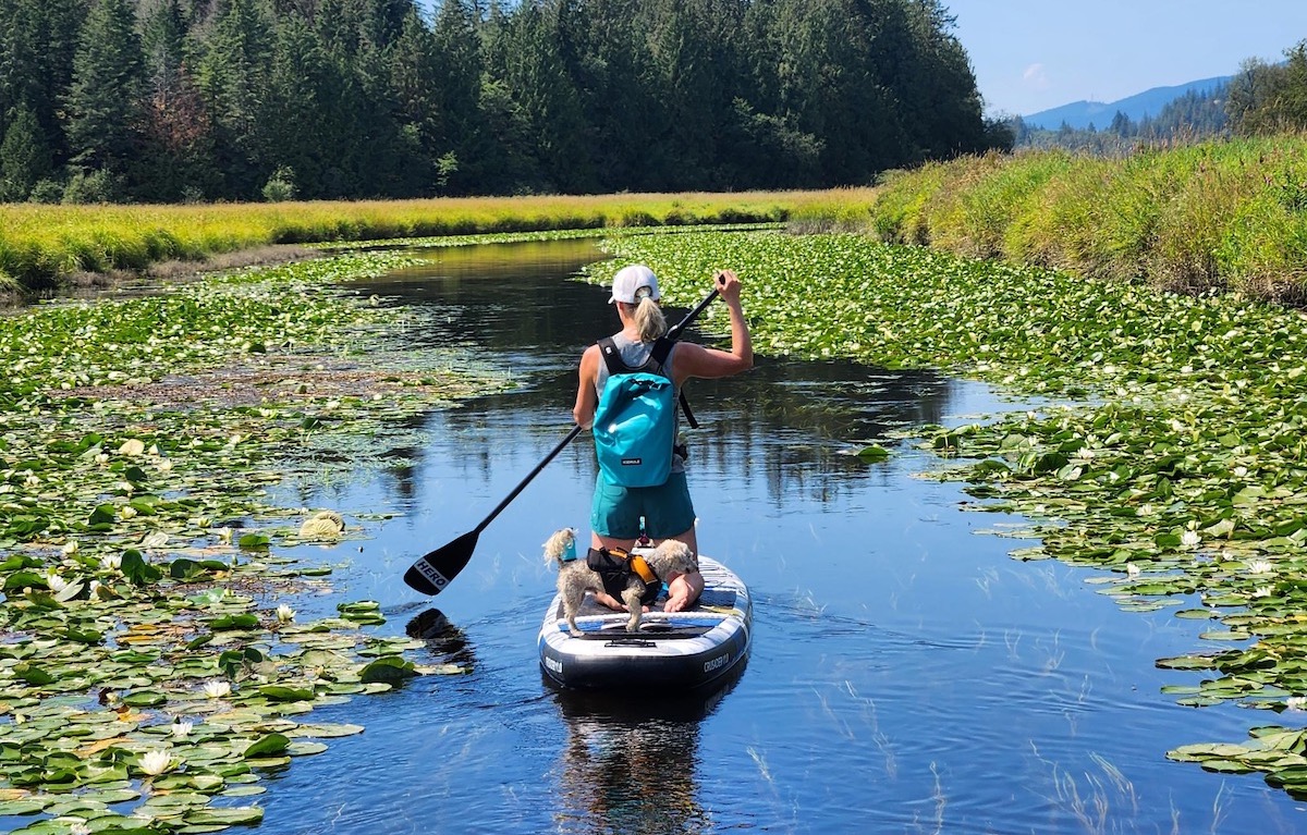 carrying the Icemule Cooler backpack while paddle boarding