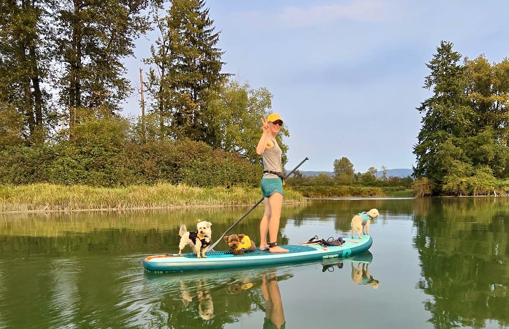 paddling the Retrospec Weekender with three dogs
